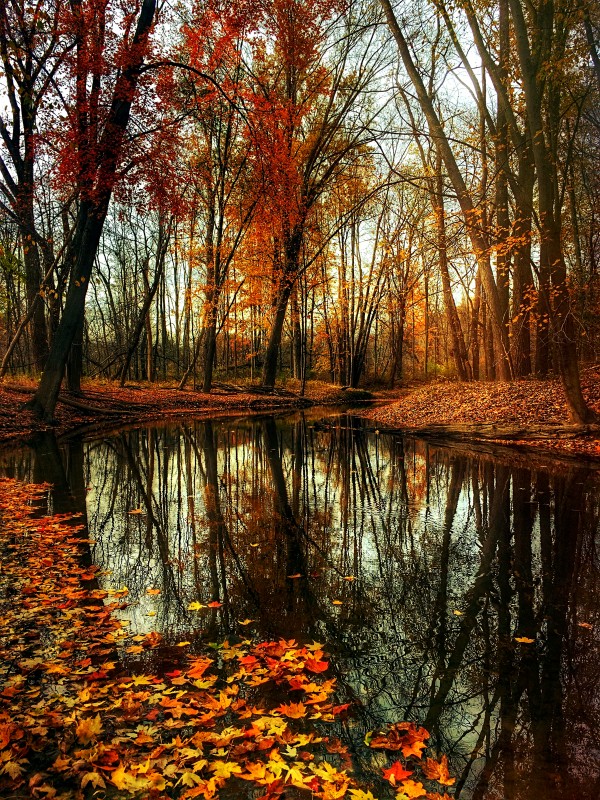 Autumn 04_OSG by One Simple Gallery